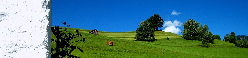 ein Sommertag im Allg�u